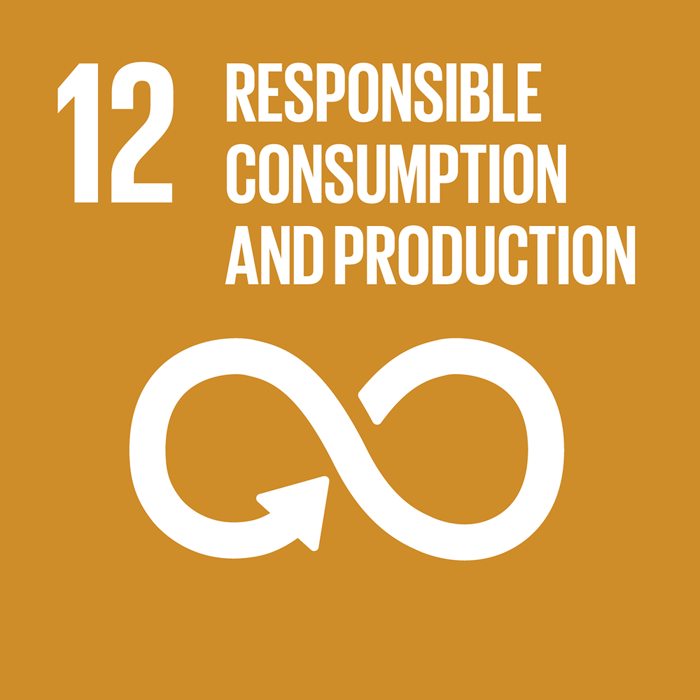 Sustainability - Responsible Consumption and Production - GB NXT Pte Ltd