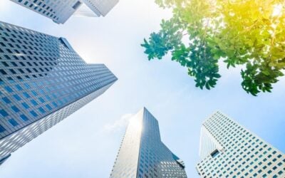 How SMEs in Singapore Can Reduce Their Carbon Footprint